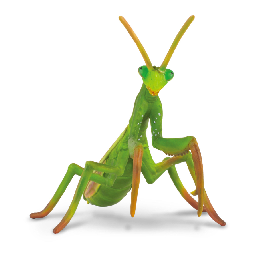 Collecta Large Praying Mantis