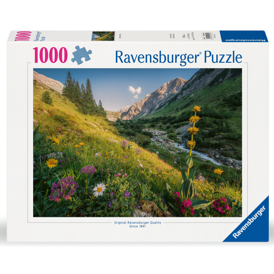Ravensburger Puzzle 1000 Piece Magical Valley SF