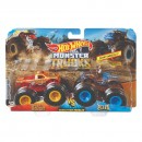 Hot Wheels Monster Trucks 1:64 Two Pack Assorted