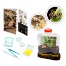 Australian Geographic Ant City