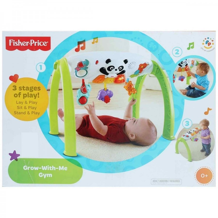 Fisher Price Newborn Grow With Me Gym