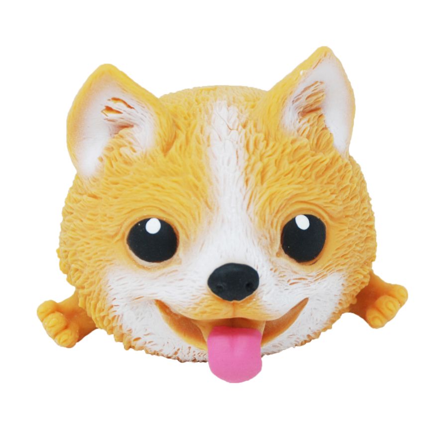 Squishy Dog Assorted