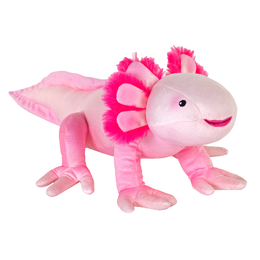 Cuddlekins Eco Axolotl 30cm