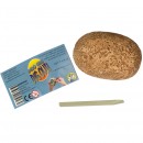 Dino Egg Dig Out Assorted