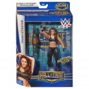 WWE Elite Hall Of Fame Figure Assorted