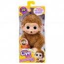 Little Live Pets My Baby Monkey Minis Assorted