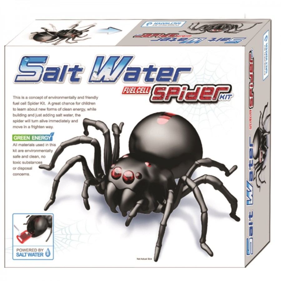 Salt Water Spider