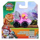 Paw Patrol The Dino Movie Pup Squad Racer Assorted