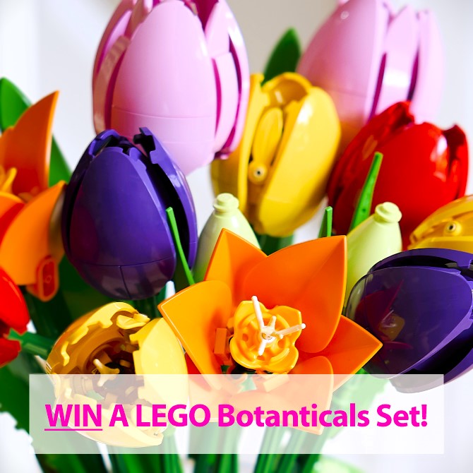 WIN 1 of 3 LEGO Botanicals Sets!