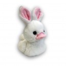 Duckees Plush Assorted