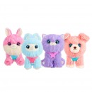 Scruff A Luvs Series 3 Rainbow Pets Single Pack