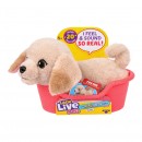 Little Live Pets My Really Real Mini Puppy Assorted