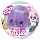 Pets Alive Hamstermania Assorted