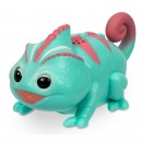 Little Live Pets Lil Needees Single Pack Series 2 Assorted