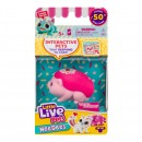 Little Live Pets Lil Needees Single Pack Series 2 Assorted