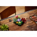 LEGO Icons Succulents