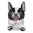 Wild Alive Plush 12cm Assorted