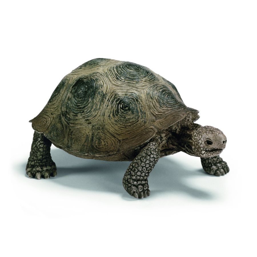 Schleich Giant Turtle