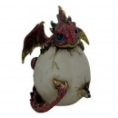 Dragon In Egg 12cm Assorted