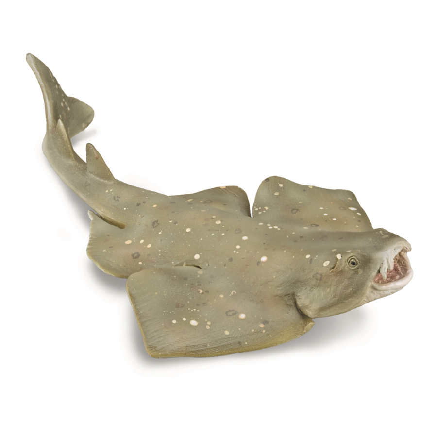 Collecta Medium Angel Shark