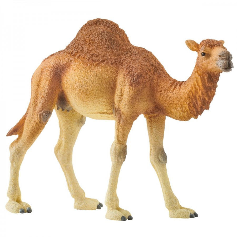 Schleich Dromedary Camel