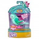 Little Live Pets Bird Series 9 Assorted