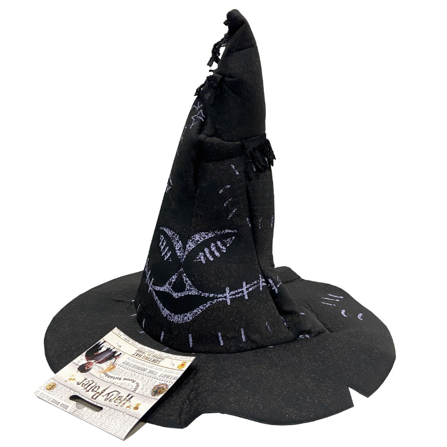 Harry Potter Kids Dress Up Sorting Hat