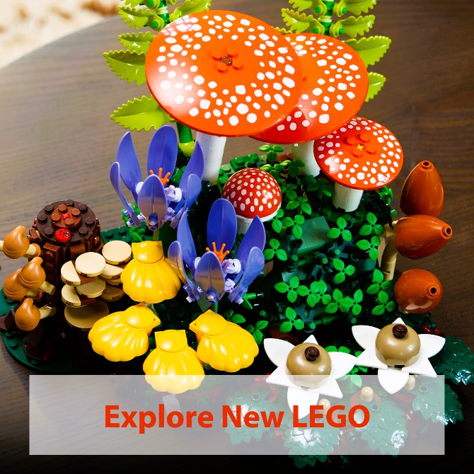 Explore New LEGO Release 