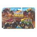 Hot Wheels Monster Trucks 1:64 Two Pack Assorted