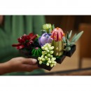 LEGO Icons Succulents