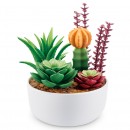 Mini Brands Botanical Garden Series 1 Assorted