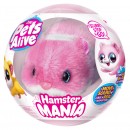 Pets Alive Hamstermania Assorted