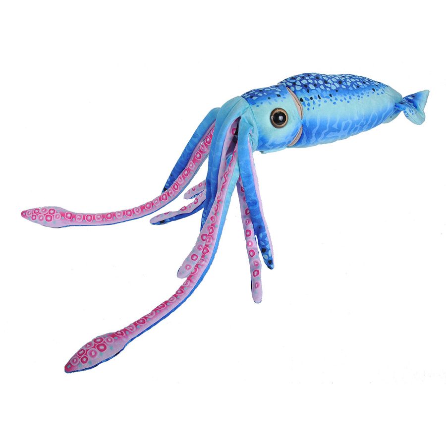 Squid Hanging Blue