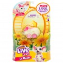 Little Live Pets Lil Mouse Series 6 Single Pack Assorted