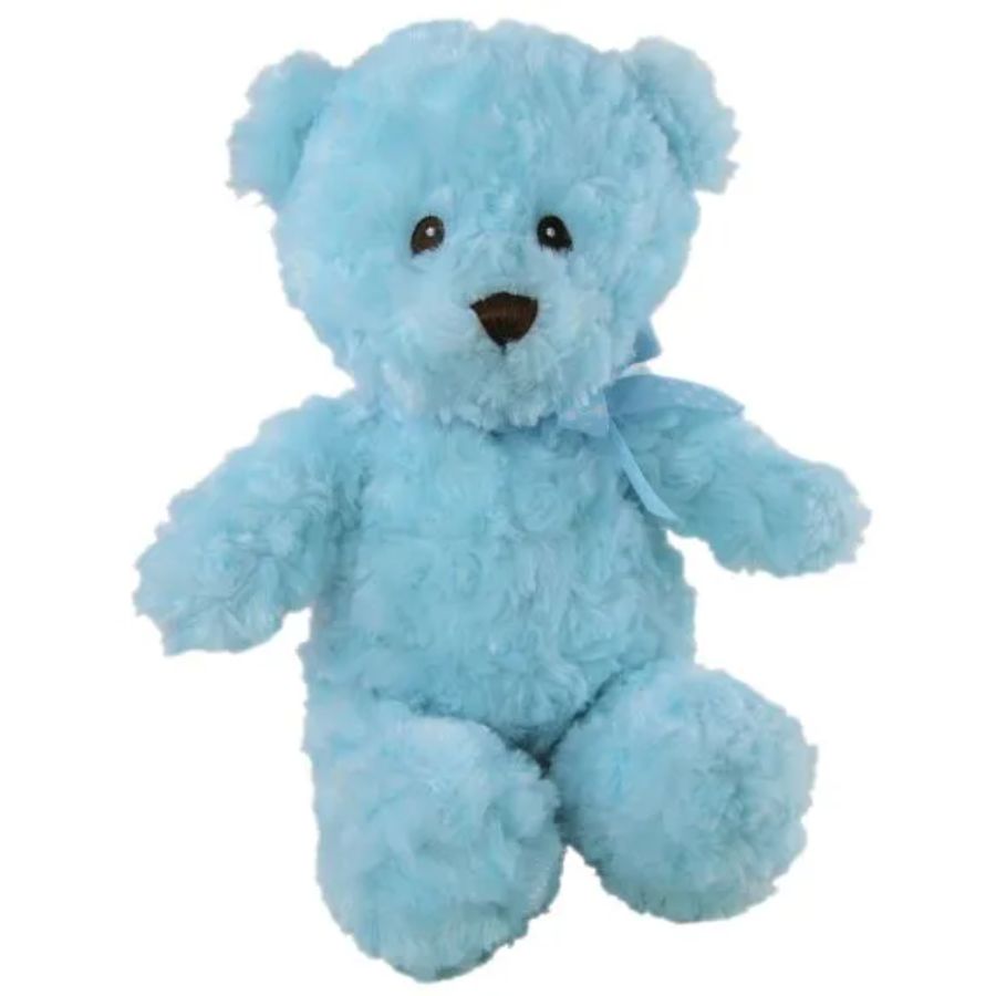 Bear Cassidy Blue 24cm