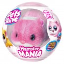 Pets Alive Hamstermania Assorted