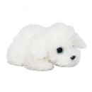 Russ Petooties Mini Plush Dog Assorted