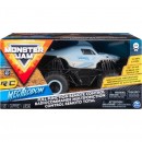 Monster Jam Radio Control 1:24 Scale Assorted