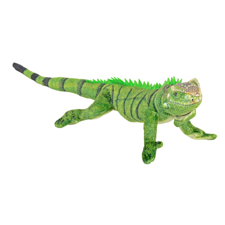 Coilkins Green Iguana 30cms