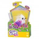 Little Live Pets Bird Series 10 Single Pack Assorted
