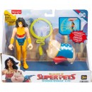 DC League Of Super Pets Hero & Pet Assorted