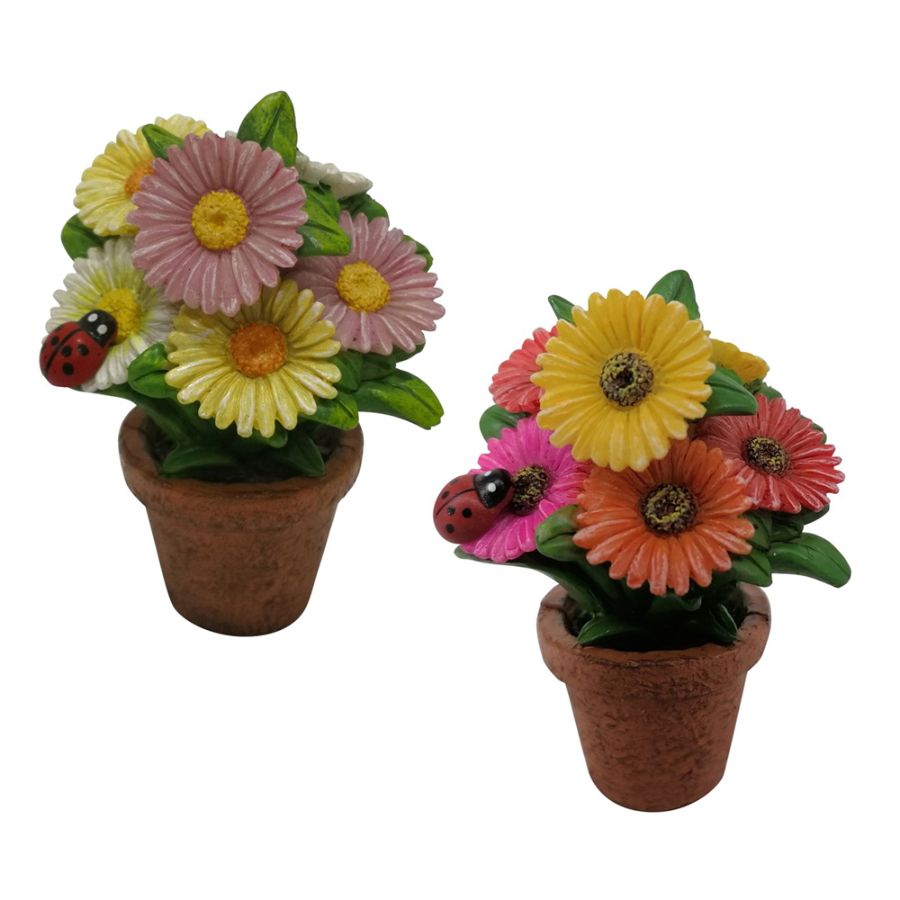 Daisy Pots