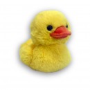 Duckees Plush Assorted