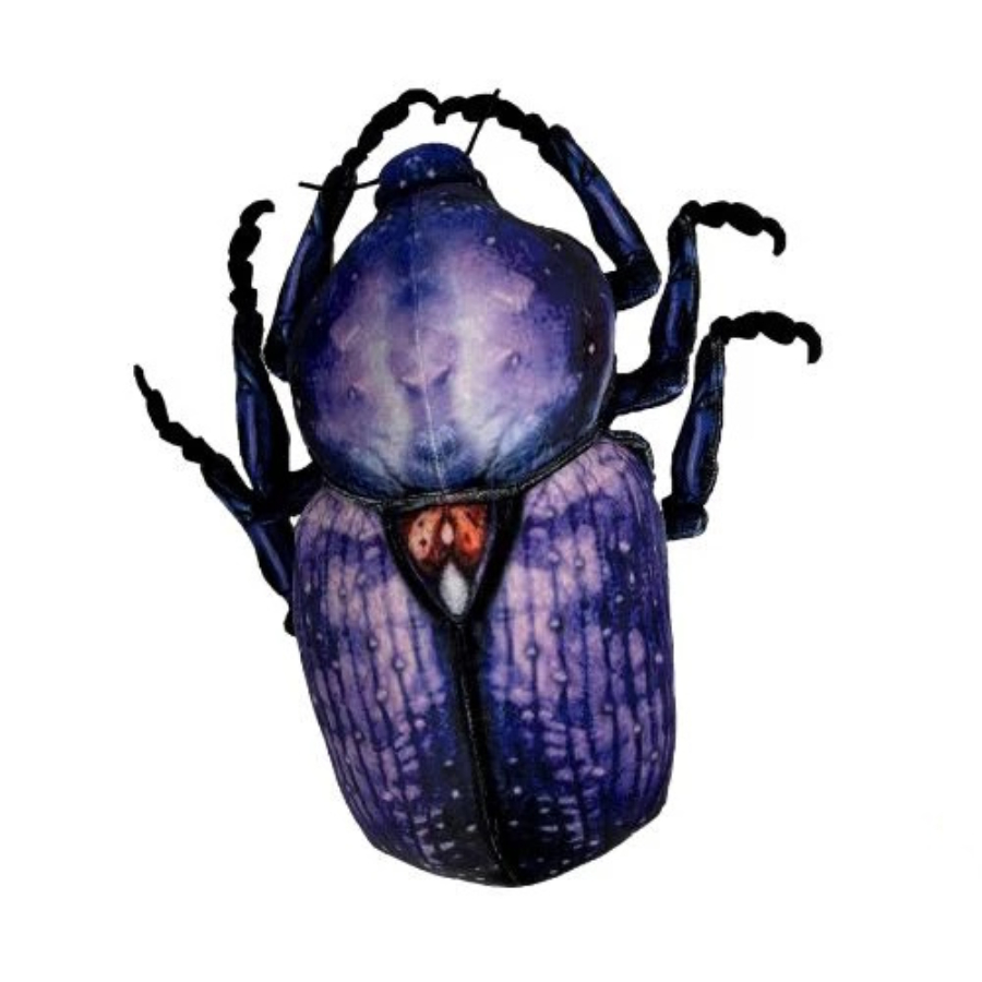 Cleo Scarab Beetle
