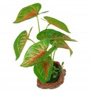 Leafy Plant 22cm Assorted