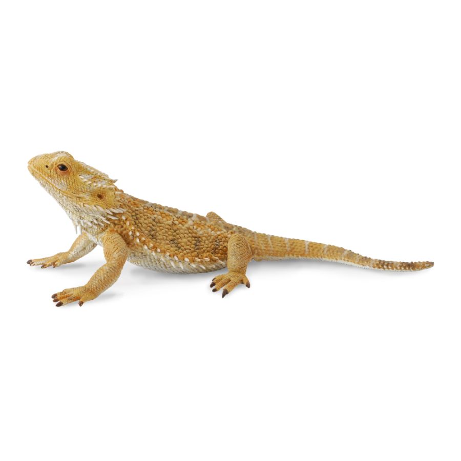 Collecta Large Bearded Dragon Lizard