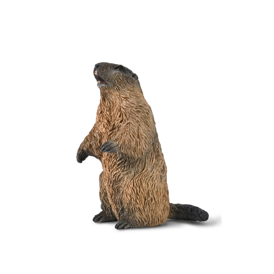 Collecta Small Marmot