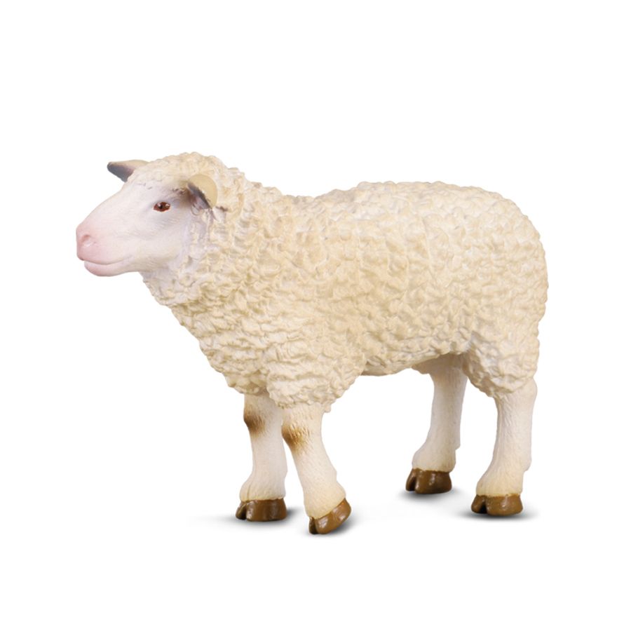 Collecta Medium Sheep