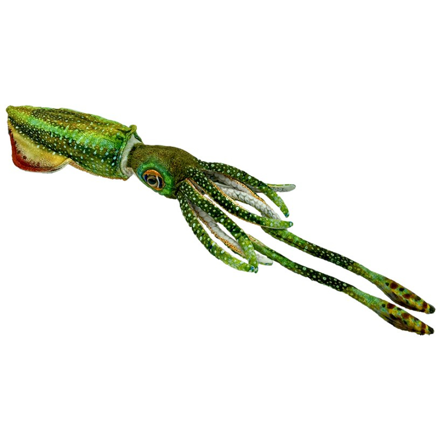 Corey The Cuttlefish Plush 80cm