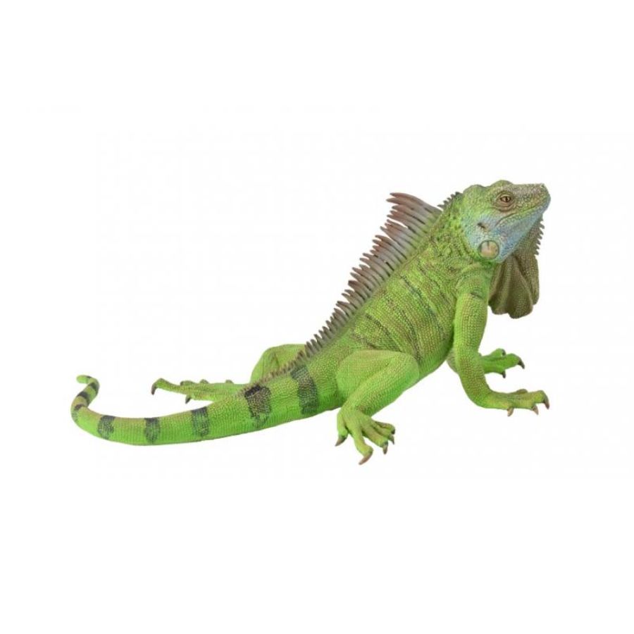 Collecta Extra Large Iguana